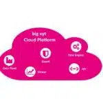 big xyt Launches the big xyt Cloud Platform