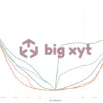 big xyt - How price movement measures can inform execution decisions